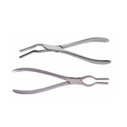 Septum Straightening Forcep